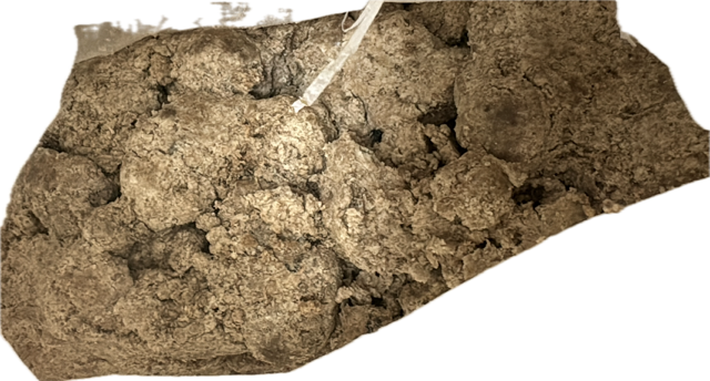 BLACK SOAP ONE POUND ( POWDER)