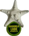 ESTRELLA DE MAR