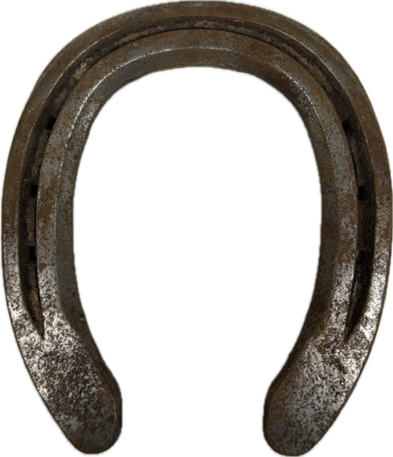 HORSESHOE ( Herradura de Caballo)