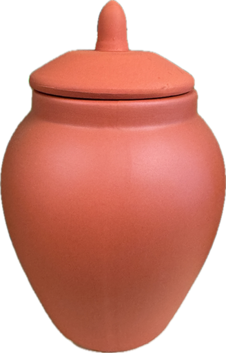 SAN LAZARO CLAY POT 8097