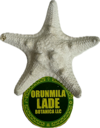 ESTRELLA DE MAR