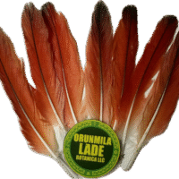 Plumas
