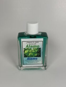 Álamo