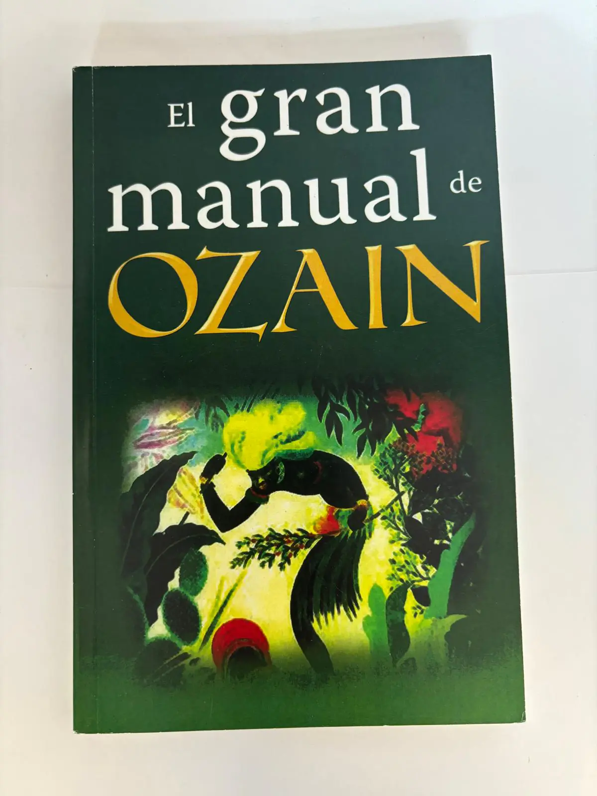 El Gran Manual de Ozain