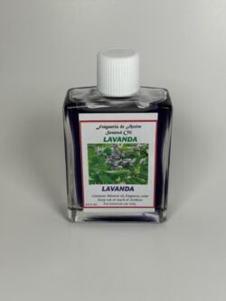 Lavanda