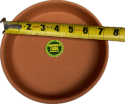 RU 0051 - Imagen 2