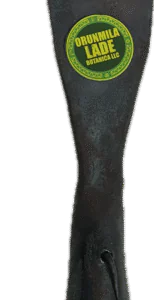 Adasa OR ADA ORISA