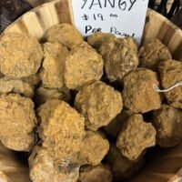 Yangy Stone