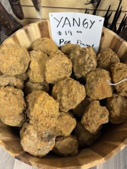 Yangy Stone