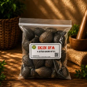 Ikin Ifa 4 ojos por mano de 21 pcs