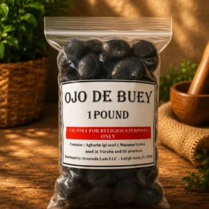 Ojo de Buey Agbarin Igi negro