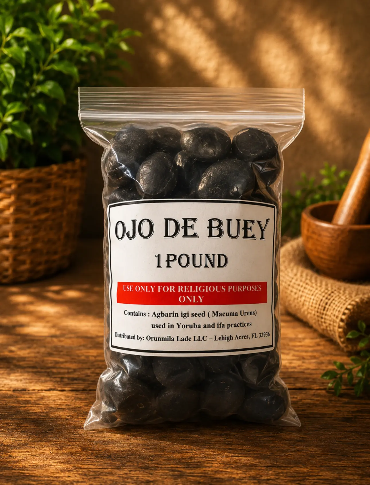 Ojo de Buey Agbarin Igi claro - Image 2