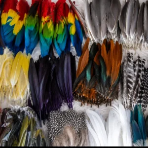 Plumas