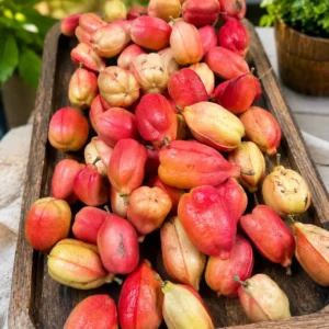Ewe Isin Seso vegetal /Aki o Akee Fruta ( blighia sapida)