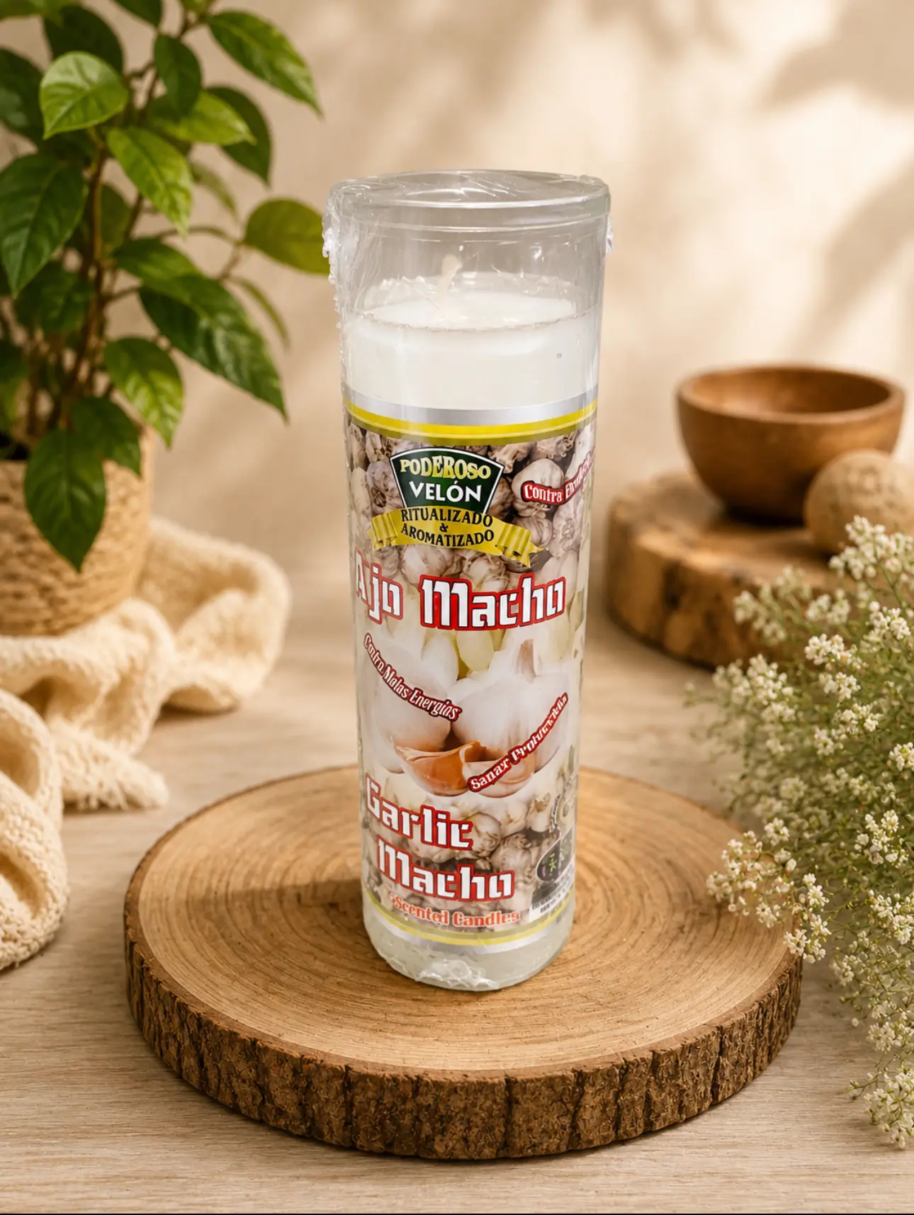 Vela Legitima de Ajo