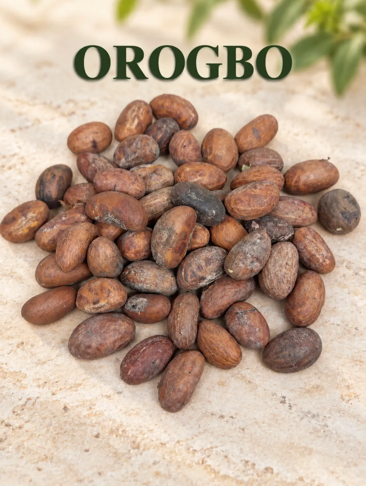 Orogbo Garcina nut 1/2 libra