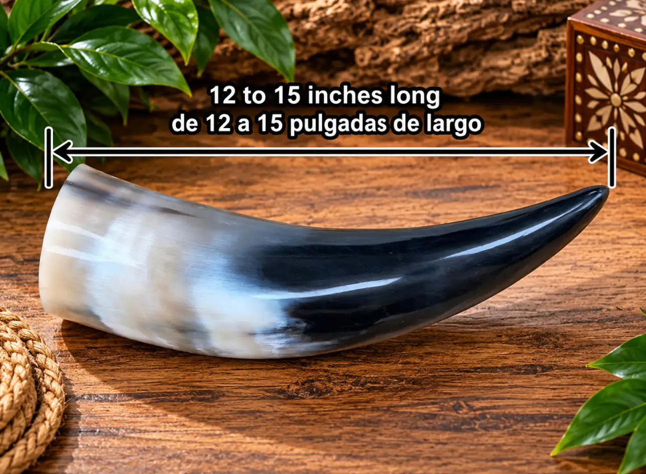 Tarro de buey - Imagen 6