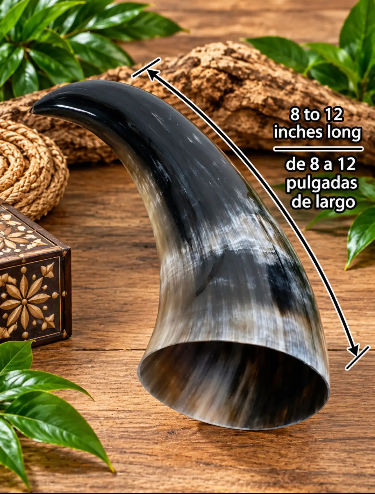 Tarro de buey - Imagen 5